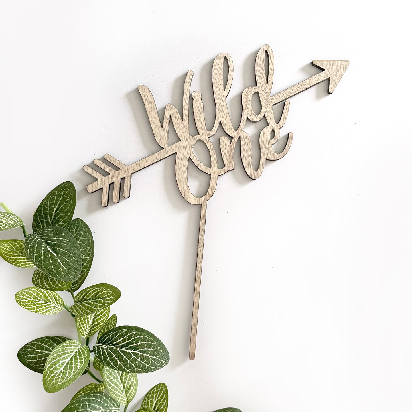 Wild One Cake Topper