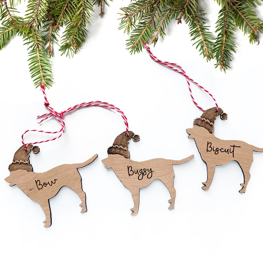 Personalized Pet decorations - Generic dog and cat shape