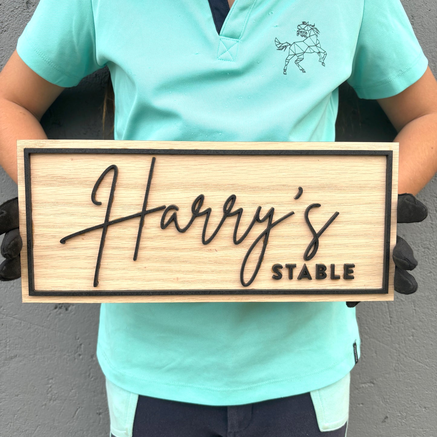 Personalized Horse Name Sign, Equestrian Stable Plaque