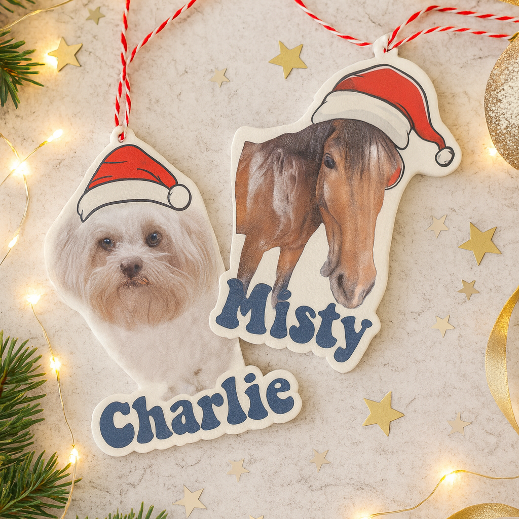Personalised Acylic Pet Decorations with any photo printed