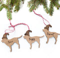Personalized Pet decorations - Generic dog and cat shape